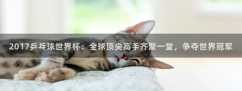 世界杯足球：2017乒乓球世界杯：全球顶尖高手齐聚一堂，争夺世界冠军