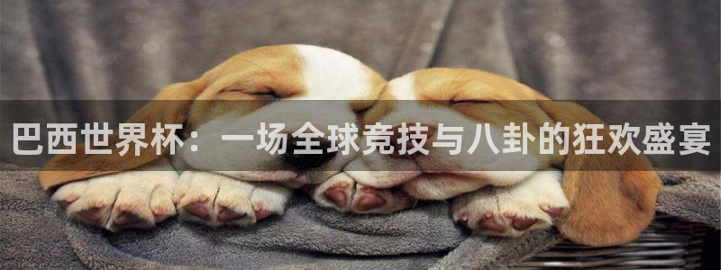 世界杯赛程表2026：巴西世界杯：一场全球竞技与八卦的狂欢盛宴