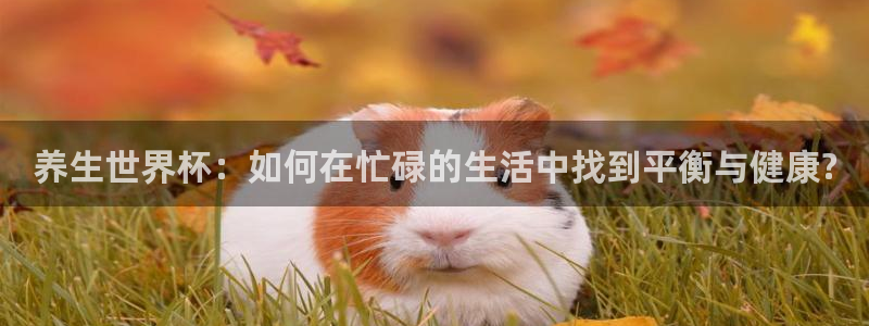 世界杯决赛预测：养生世界杯：如何在忙碌的生活中找到平衡与健康?