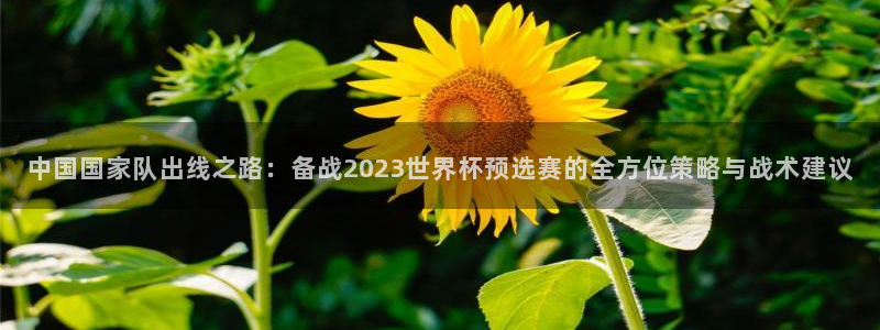 2006世界杯：中国国家队出线之路：备战2023世界杯预选赛的全方位策略与战术建议