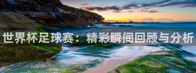 世界杯比赛直播：世界杯足球赛：精彩瞬间回顾与分析