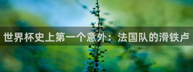 2026世界杯预选赛：世界杯史上第一个意外：法国队的滑铁卢