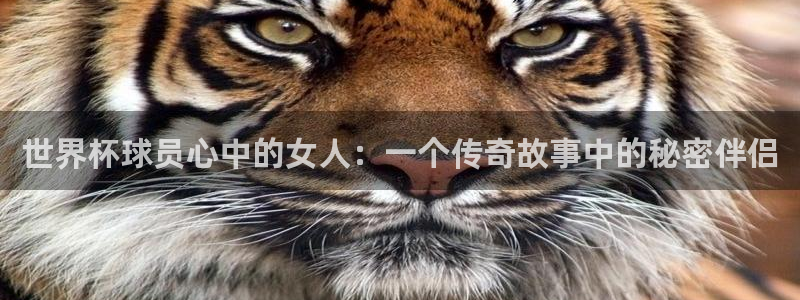 2026世界杯足球赛程时间表：世界杯球员心中的女人：一个传奇故事中的秘密伴侣