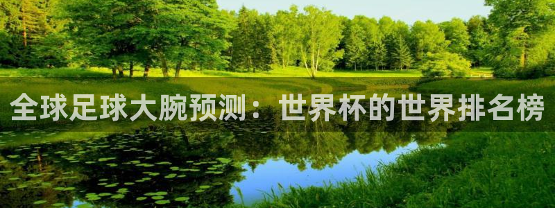 欧洲世界杯预选赛赛程：全球足球大腕预测：世界杯的世界排名榜