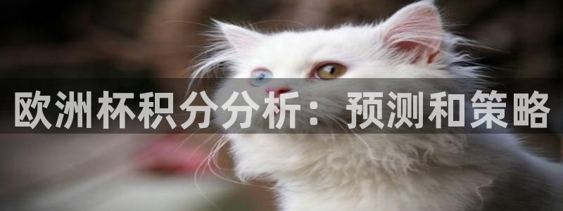 2026世界杯小组赛赛程时间表：欧洲杯积分分析：预测和策略