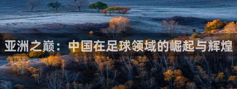 世界杯转播表：亚洲之巅：中国在足球领域的崛起与辉煌