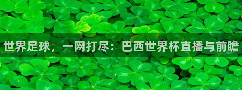 中国 世界杯：世界足球，一网打尽：巴西世界杯直播与前瞻