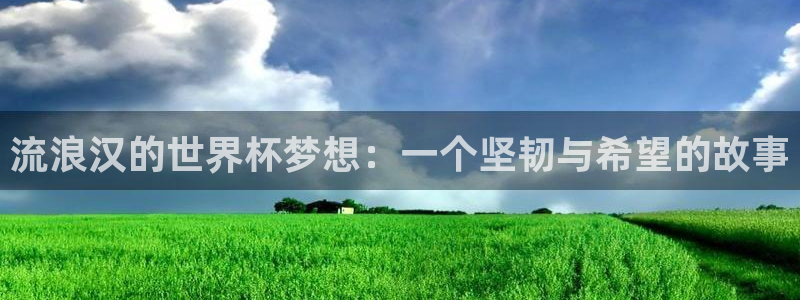 今年的世界杯：流浪汉的世界杯梦想：一个坚韧与希望的故事